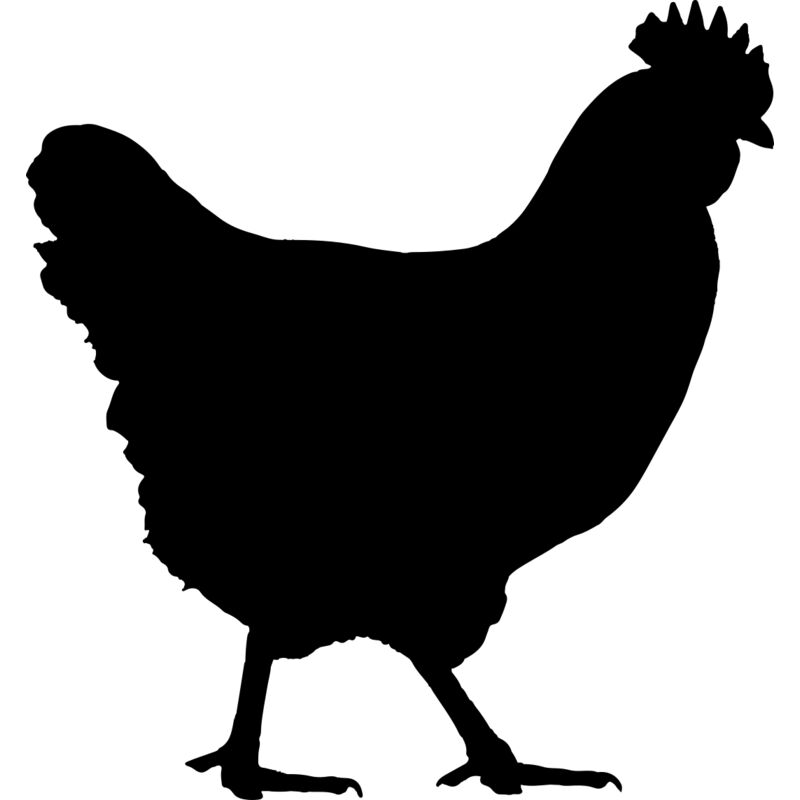 Chicken   Clipart 1 Thumbnail