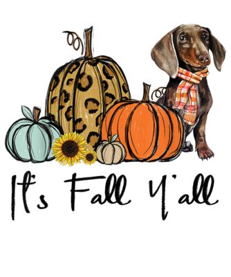Its Fall Yall Yellow Dachshund Dog Leopard Pumpkin Falling T Shirt