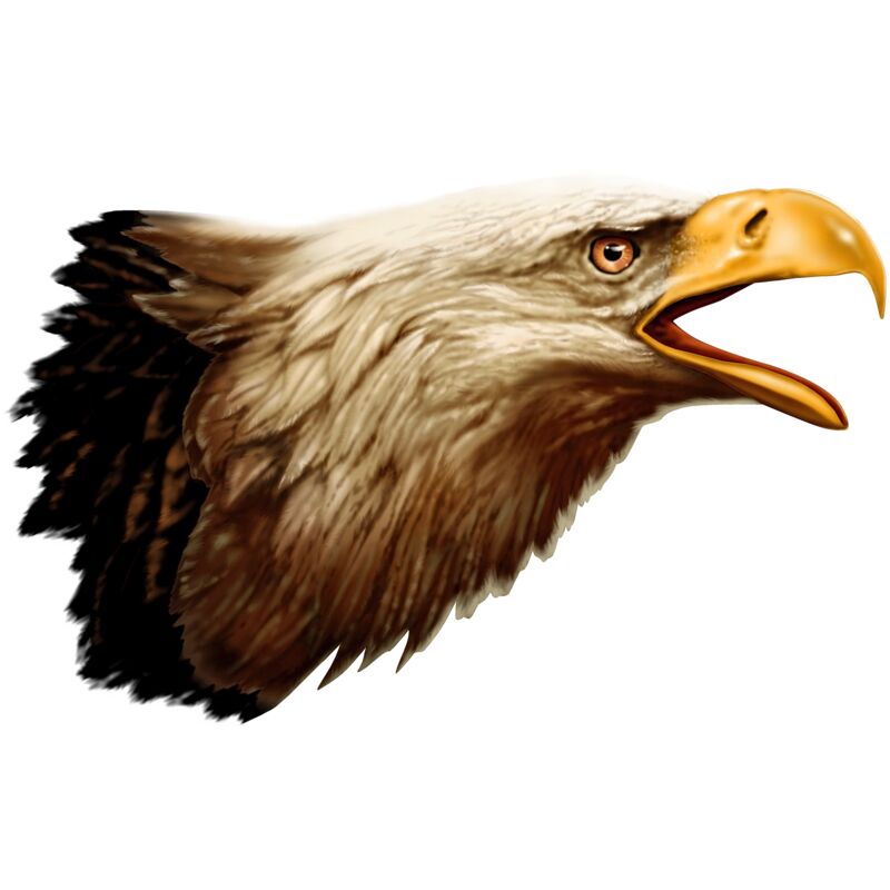 Patriotic 17 Thumbnail